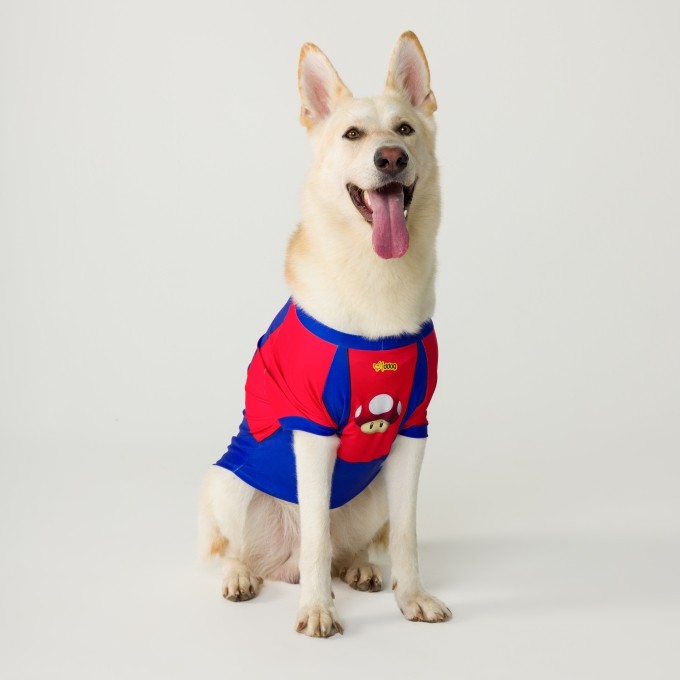 Blusa Pet Super Mário Dog