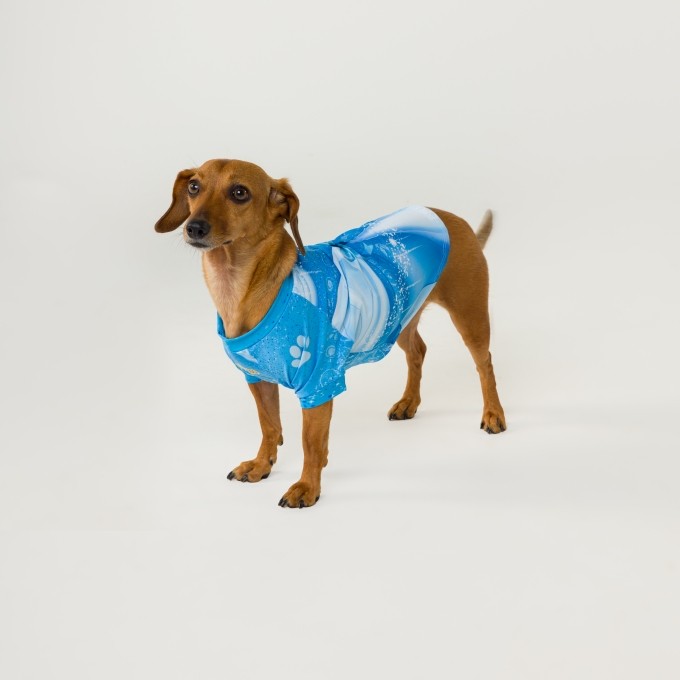 Blusa Pet Cinderela