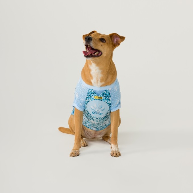 Blusa Pet Frozen