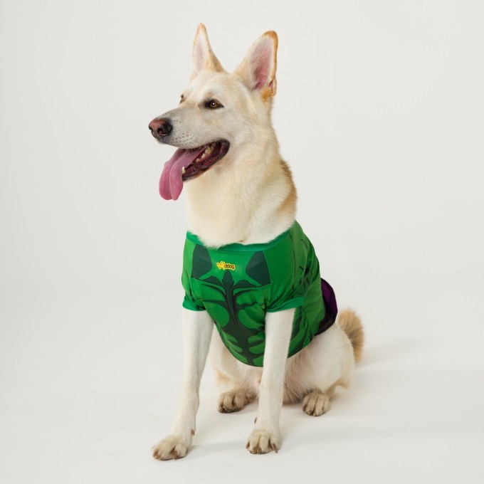 Blusa Pet Hulk Dog