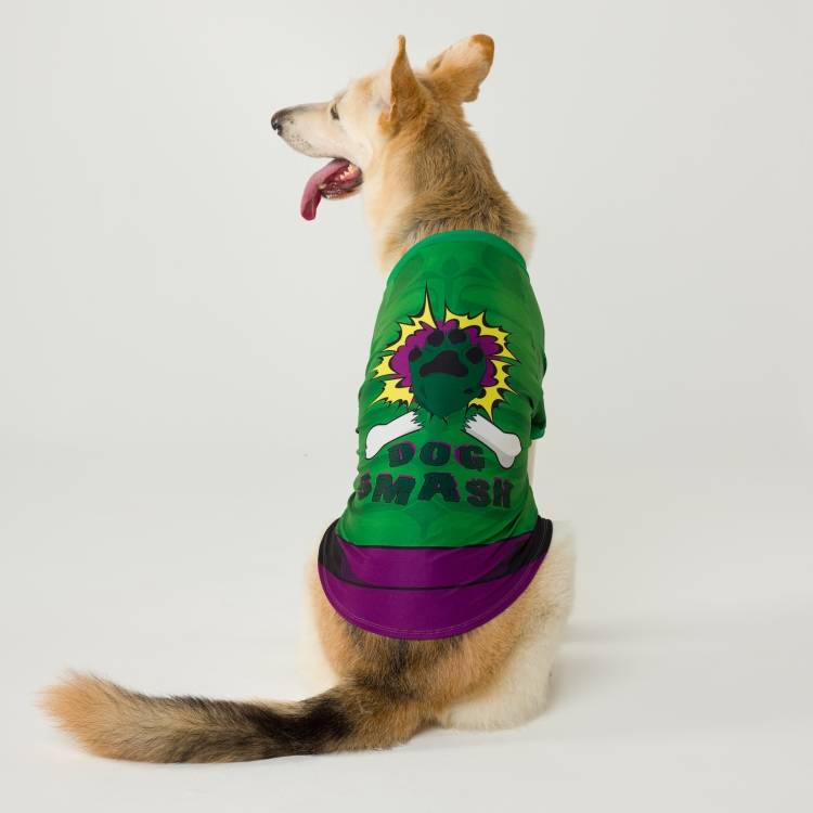 Hulk dog toy cheap