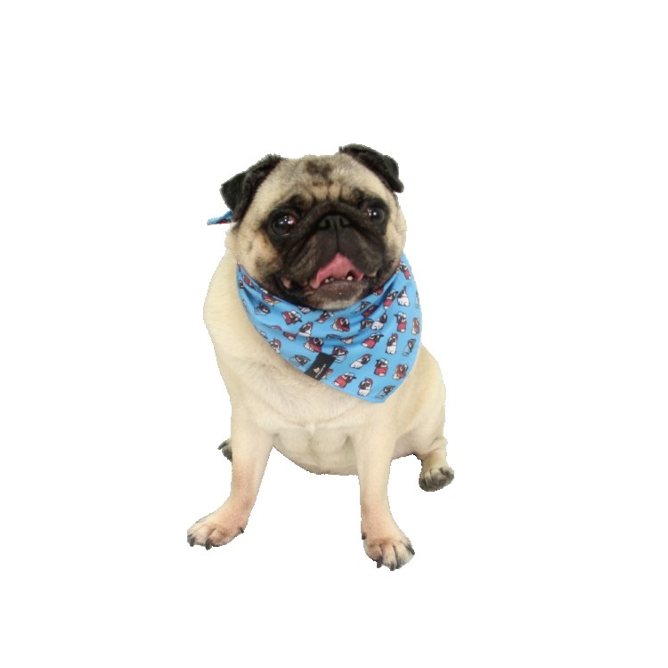 Bandana Estampa Fantasy Pug