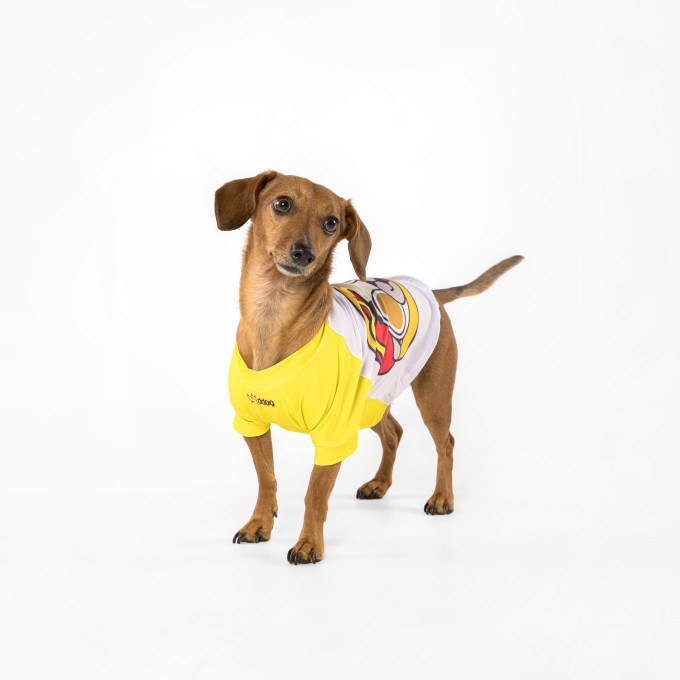 Blusa Pet Dog Quente