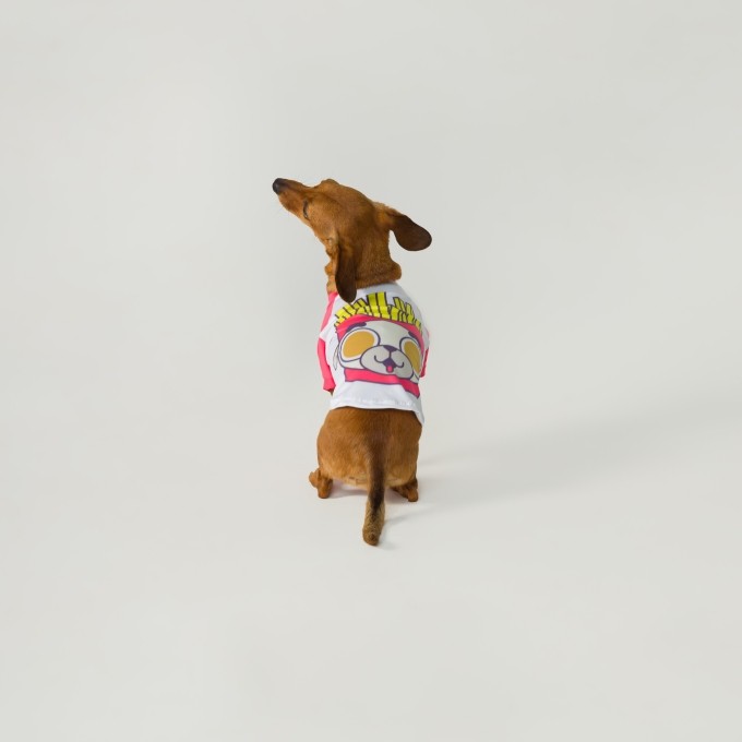 Blusa Pet Batata Dog